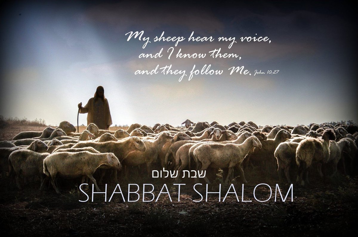 #ShabatShalom שבת שלום #