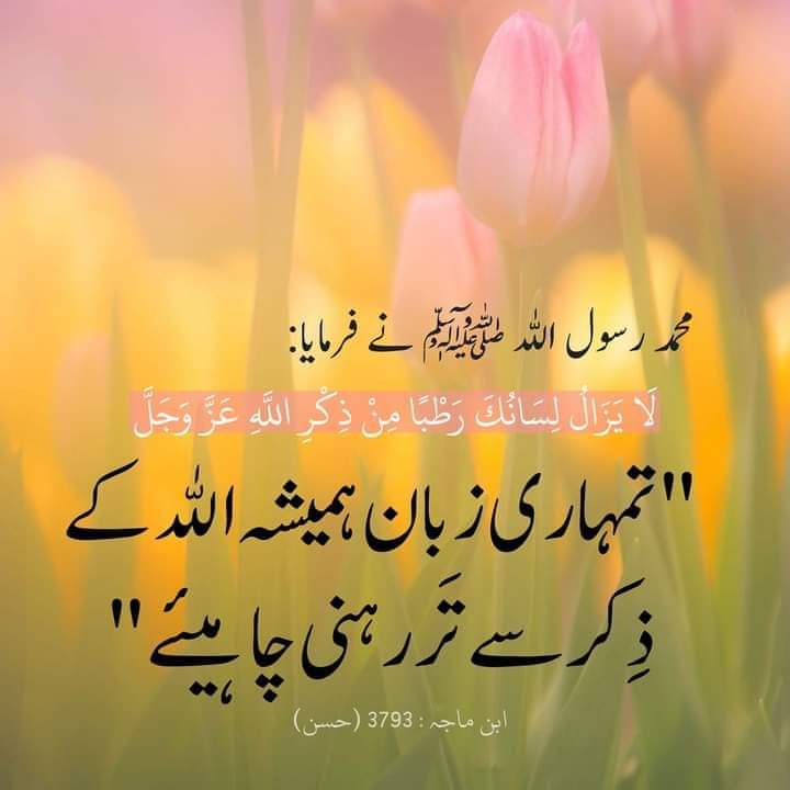 𝗔𝘀𝘀𝗮𝗹𝗮𝗺-𝗢-𝗔𝗶𝗹𝗸𝘂𝗺!
Good MoRniNg 🌞 🍂

سکون صرف ﷲ کی زات میں ہے🌸🌙
جــؔن کـــؔی اُمــؔیـؔد صـــؔرف اللّٰه ہــؔو وہ کـــؔبھــؔی نــؔا اُمــؔیــؔد نـــؔہیں ہـــؔوتــؔے❤‍🩹