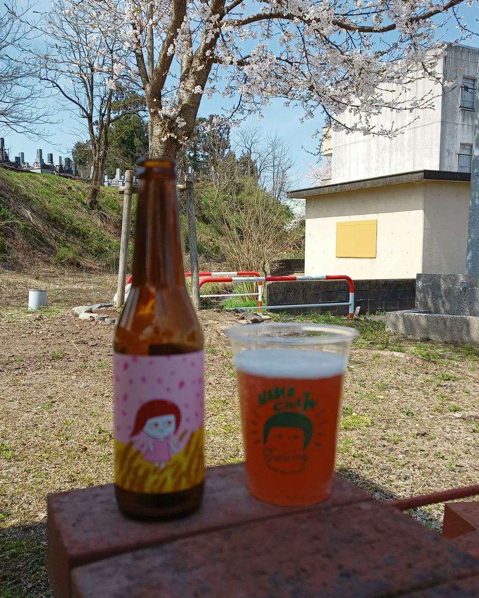 最高♪
#クラフトビール 
#craftbeer
#なまちゃんブルーイング 
#桜ホワイト