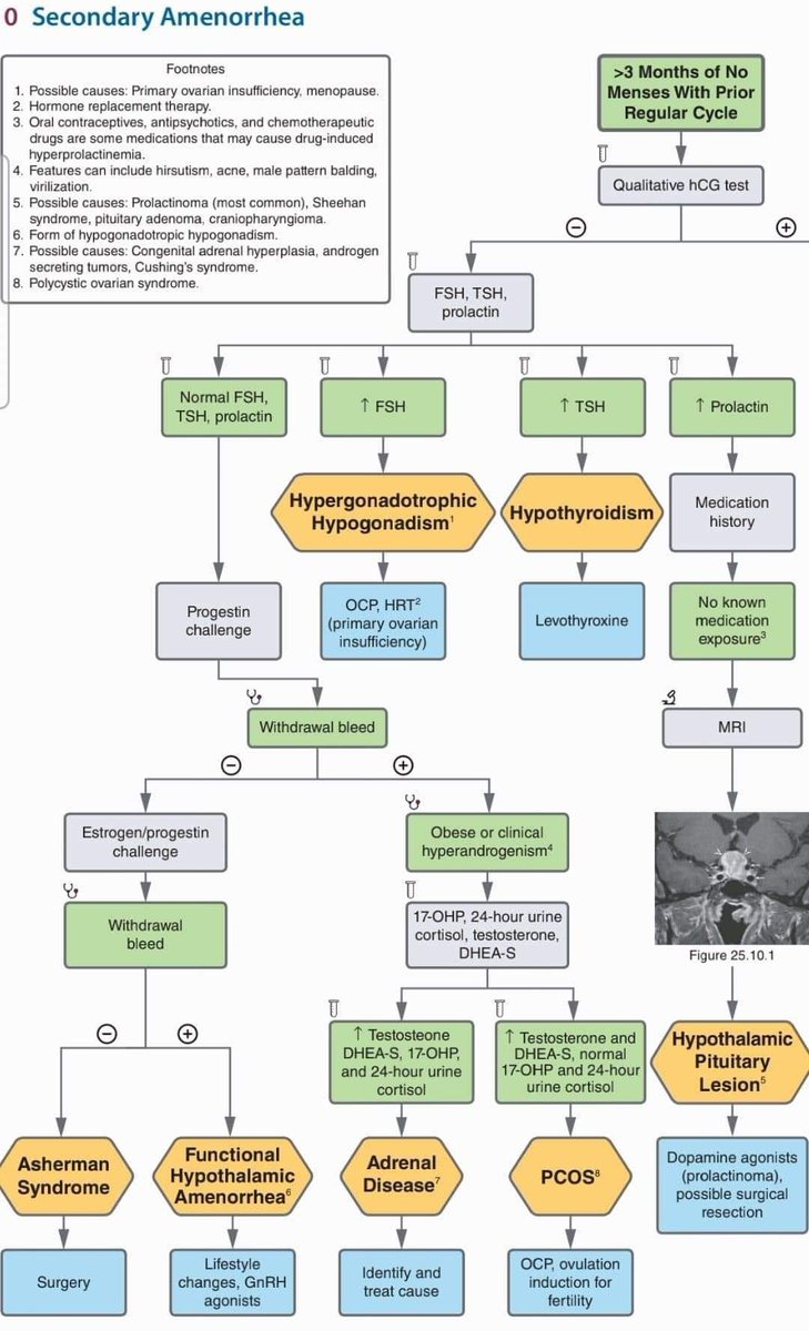 Secondary Amenorrhea causes Subscribe 👇 youtube.com/@pgmedicine2023