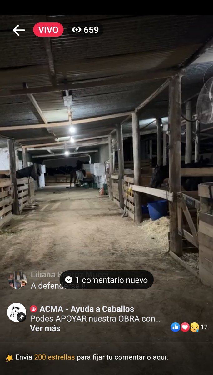 ACMACABALLOS's tweet photo. Estamos transmitiendo en #vivo 

https://t.co/D6UfYPXGeI

#Chocolate
#robodecaballos
#acma
#caballos https://t.co/gcoQKepHjn