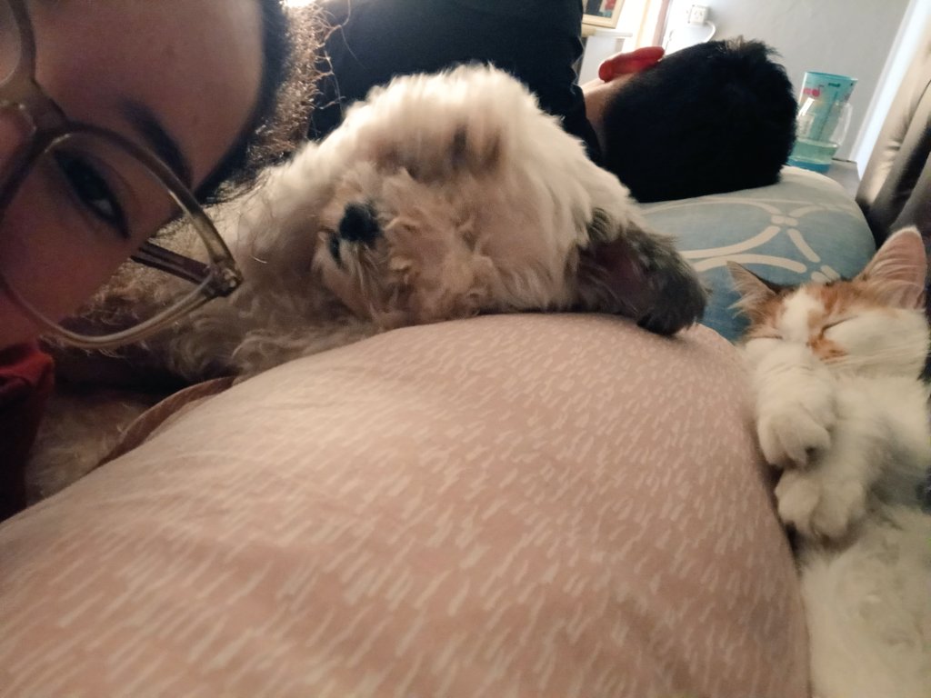 AnnaBasquet15's tweet photo. Mi 2024 empezó con lo más lindo de mi vida, ellos son mi alegría de todos los dias😍🥰 https://t.co/Vrwt2z1GO4