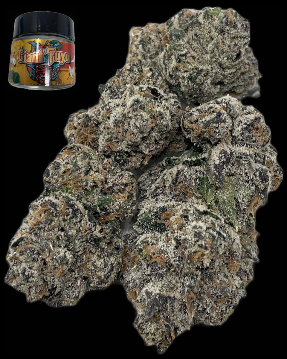 🚨 RESTOCK

Giant Fuyu 👹 by Turtle Pie Co 🥧🐢

This strain is testing at 3️⃣9️⃣.8️⃣2️⃣% total THC 💨

Come to Cookies Oakland 🍪 and get yours today