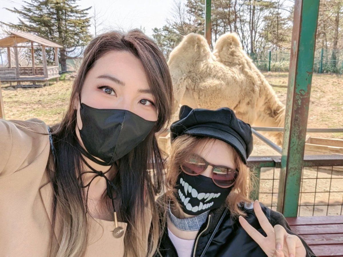 In the mountains of Fukushima! 🐫🏎️ 🔴Live now!!
