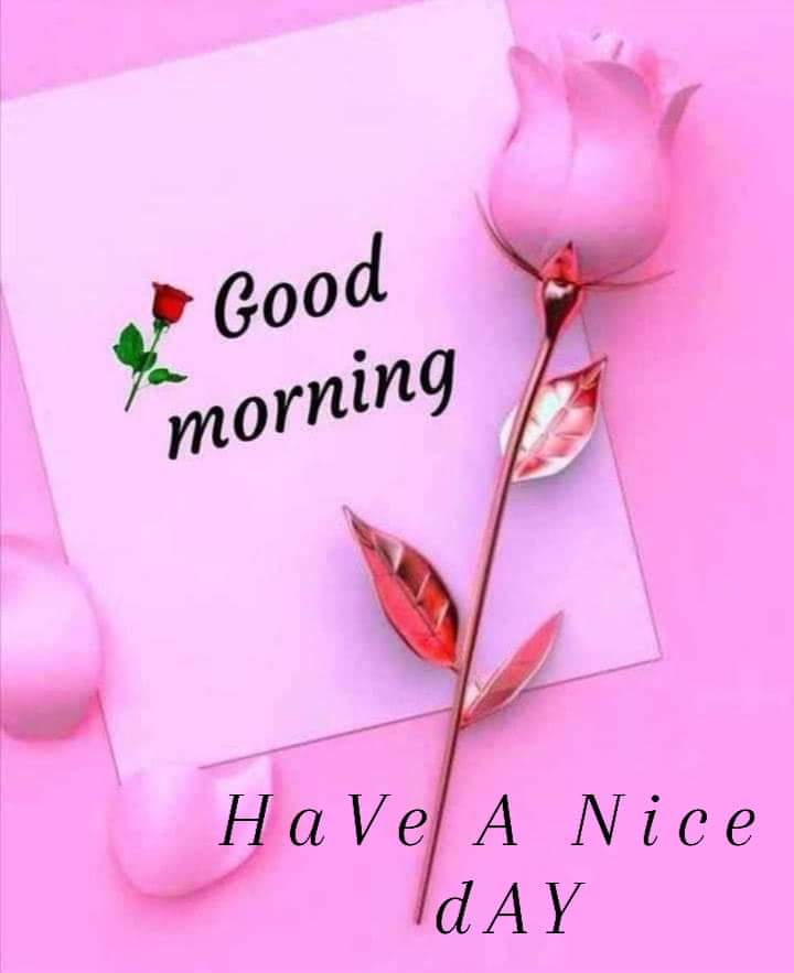 🌸🌸🌸Good morning 🌅☀️☀️
Happy Saturday..
Happy weekend to all of you..