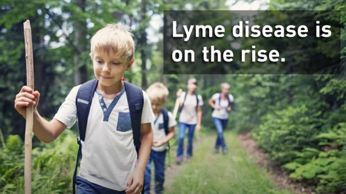 docabc's tweet photo. Tick-borne diseases, such as Lyme disease, are on the rise in people and dogs. Reported cases in people in the U.S. increased from about 12,000 annually in 1995 to approximately 35,000 in 2019, according to the Centers for Disease Control and Prevention.  https://t.co/Im8MmI6Kl8. https://t.co/ilAbvyoyIx