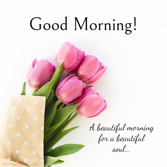 HIDAYAT_LLC's tweet photo. Assalamu o walikom 💞
X family
Good morning https://t.co/bPoZFd4g79