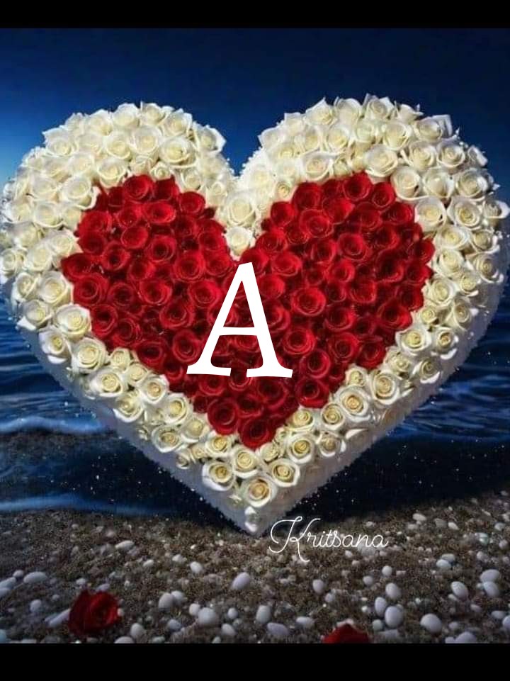 #loyal #AMY🅰️
@Alaayous3
@hdn_na
@Ozlerntr
@_HZTT
@foz3x3 
@OmHhr8
@s____f2
@MariaG_GG
@MarkBird17
@karla_newbi 
@shahista210
@ranasilvia63
@DrFatimaAliPK
@ZoryAntequera
@Sahelenaa
@4523165Q8g7
@Anum_Pti333
@MALIK__999
@PK50K
@s71m7
@beautiful25soul
@Magdale_Aguilar
@Eles26…