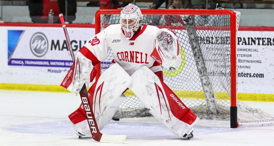 Congrats to Manhattan Beach native and @JrKingsHockey grad @ianshane30, adding to his stellar 2023-24 season with @CornellMHockey with an All-American nod! READ MORE HERE: carubberhockey.com/jr-kings-produ…