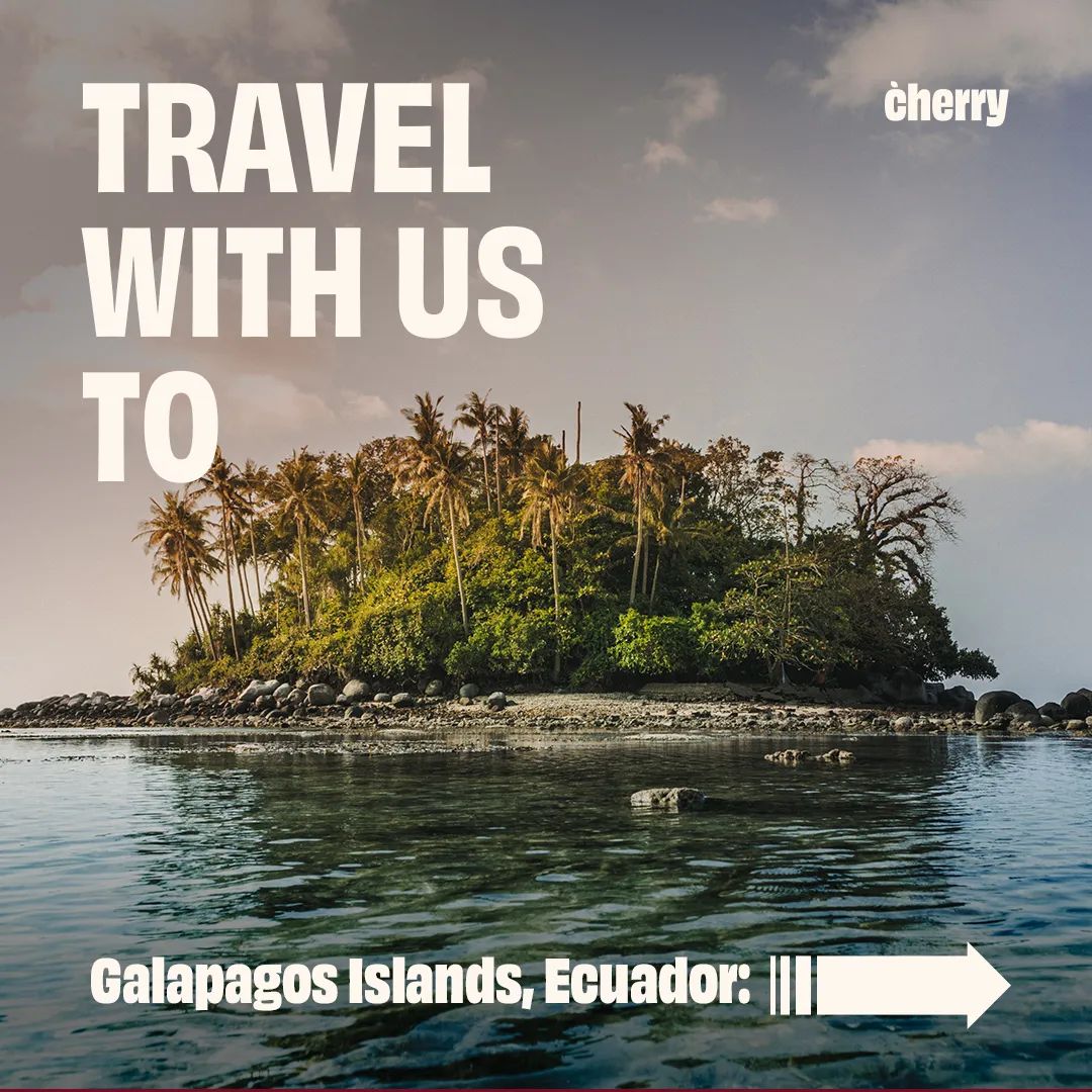 joincherry__'s tweet photo. This months feature location is.... #GalapagosIsland.
Be sure to head over to https://t.co/IjmXtzOJpO and see all the amazing deals we have. #travel #vacation #holiday #saving #deals https://t.co/6cxpoH10YL