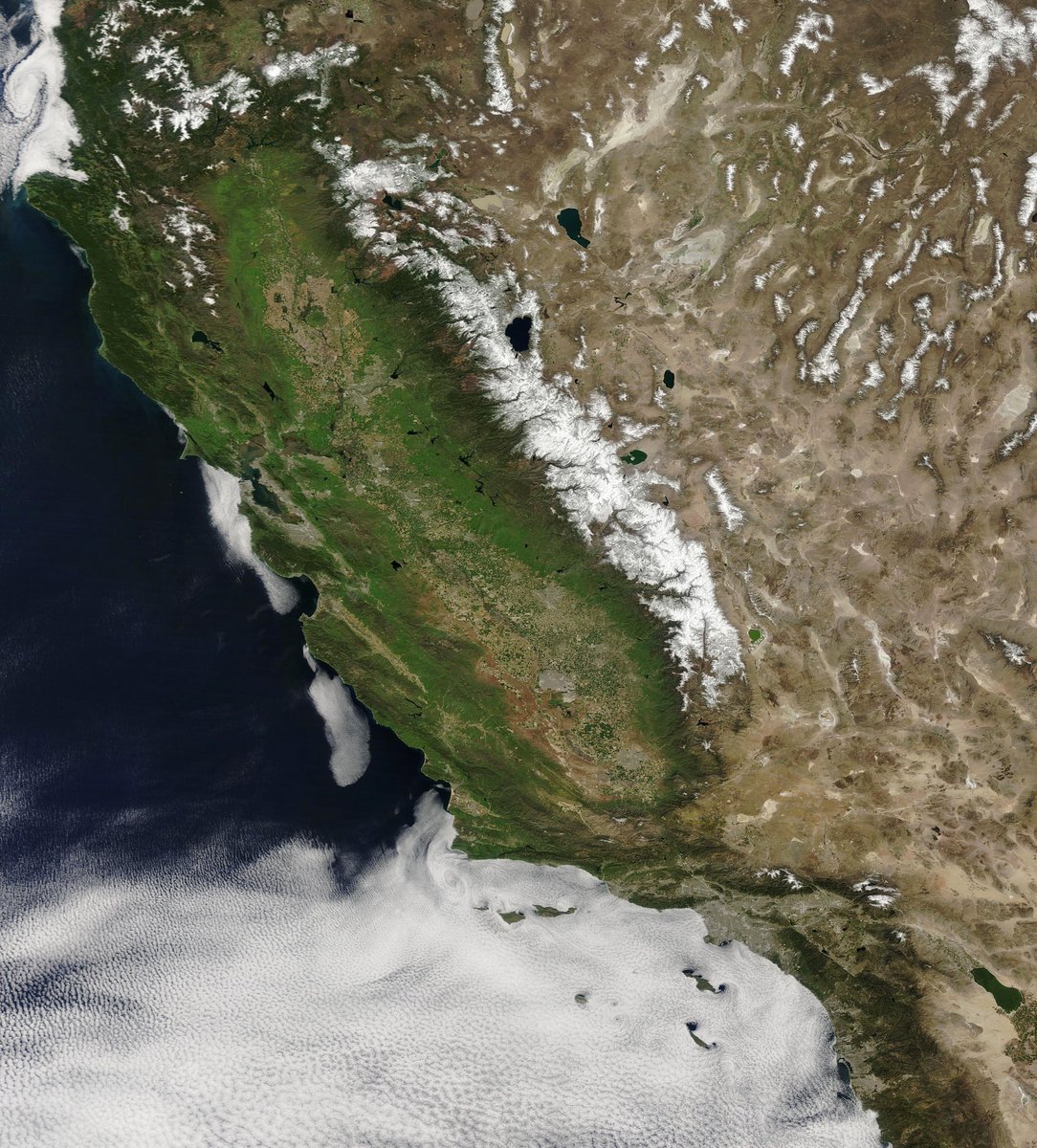 California is looking green from space 🟢 📷 @NASA