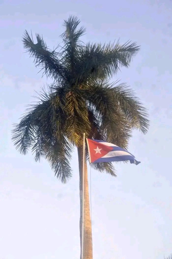 EstaEsLaRevolución
#CubaEnPaz
#FidelPorSiempre
#JuntosSomosMásFuertes