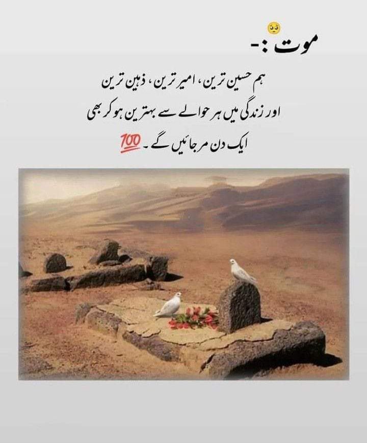 Muhammad Sameer tweet media