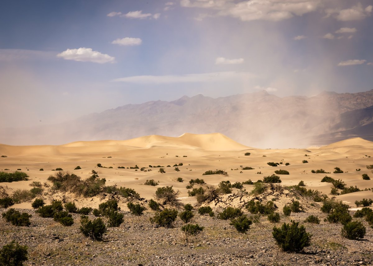 A little dust storm this afternoon out here in Death Valley. Gosh, I love it here.