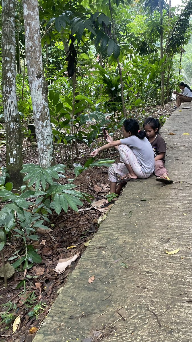 IsmailHolil's tweet photo. Dari jaman dulu ampe sekarang kampung w susah bgt cari sinyal, ini cuman 1 spot yang sinyalnya cuman 1 bar, ini posisinya di jalan dan di makam baru ada sinyal kalo dirumah mah boro2 , udh 2 kali lapor ke XL by phone jawabannya ttep sama masih menunggu giliran @myXLCare https://t.co/kCriRHos0K