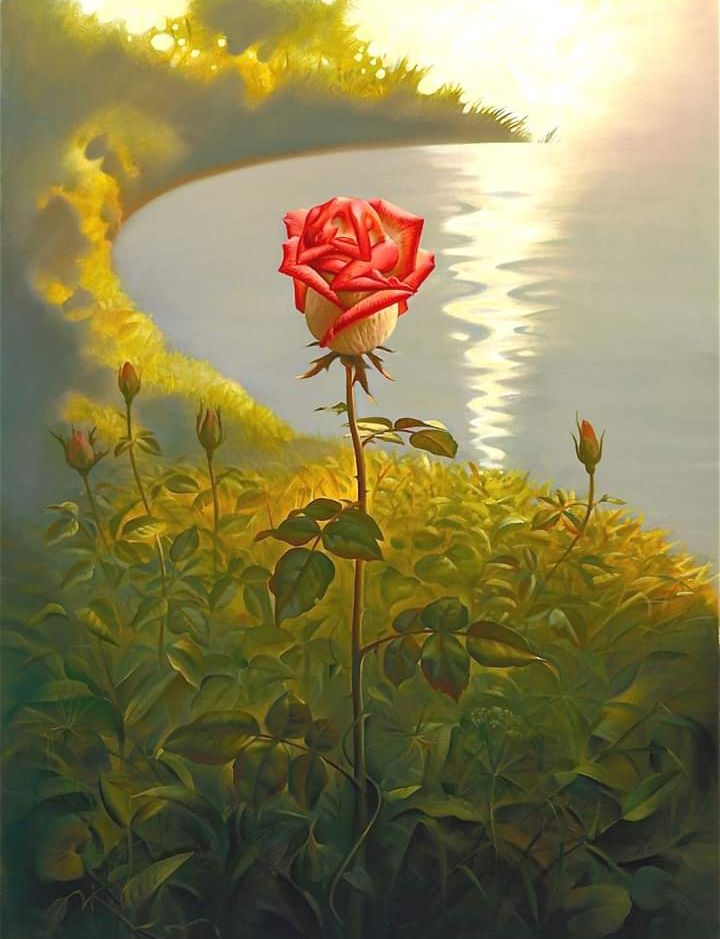 ptipakistan234's tweet photo. وعلیکم ورحمۃ اللہ وبرکاتہ
#GoodMorningLoves
بےشک
مشکل کے ساتھ آسانی ہے۔
اِنَّ مَعَ الْعُسْرِ یُسْرًاؕ
صبح بخیر https://t.co/UJZOxdVDvt