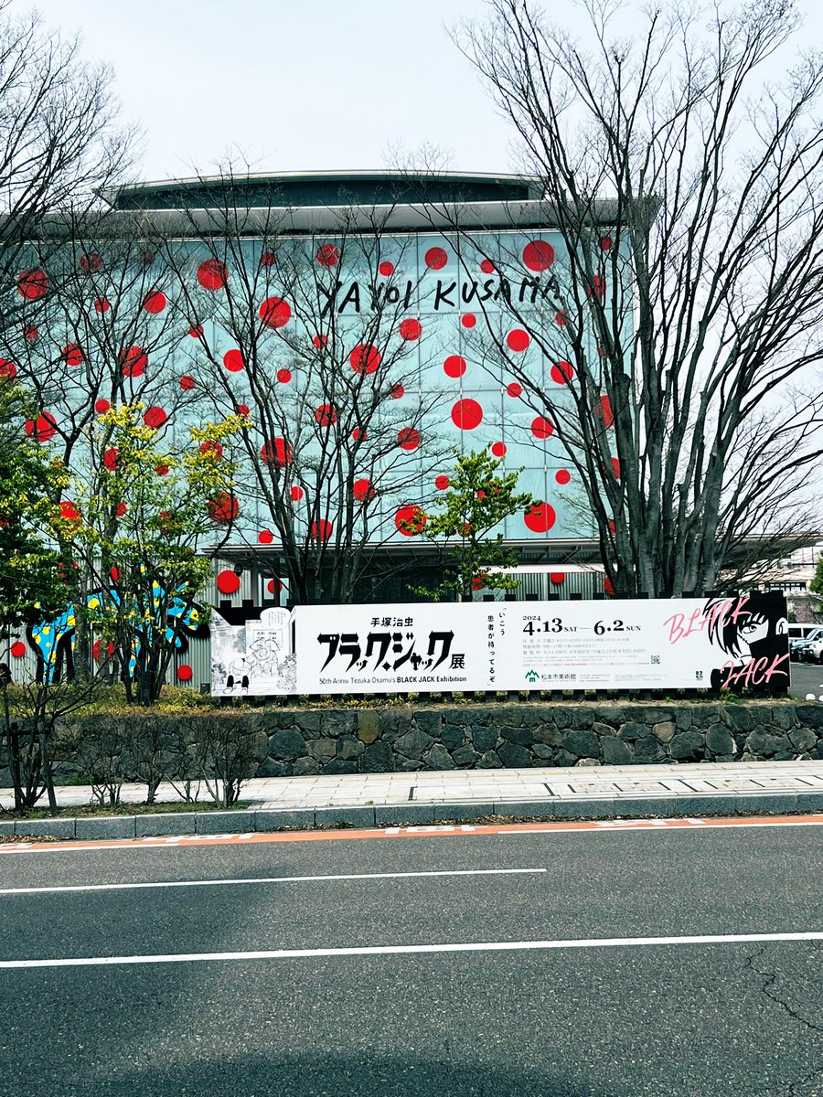 いよいよ本日から松本市美術館にて 『ブラックジャック展』が始まります‼️ 今日、明日天気もよく桜🌸も満開に近づいてます。 展示を見た後松本城🏯の桜を見るもよし！髪を切りに来るもよし！ 春の松本を満喫しに来てください☺️