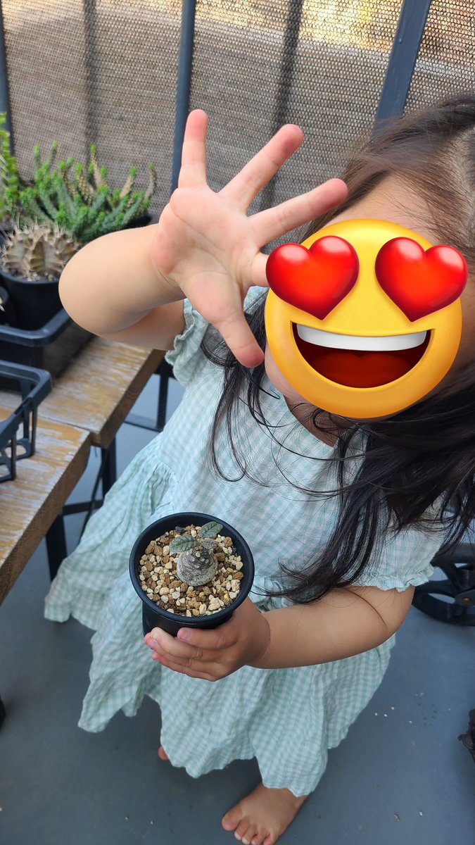植物を愛でる娘
可愛すぎる👧