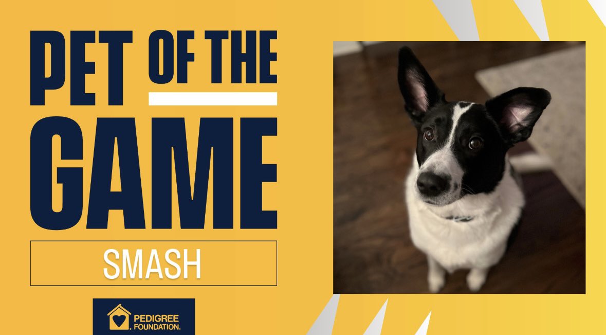 Tonight Pet of The Game is our very own SMASH!