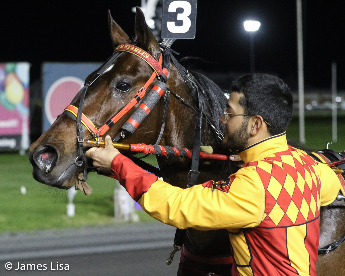 Bryan Quevedo @916_Quevedo had his first training win 2 weeks ago with Just A Rocket Man and tonight's win makes it three in a row @themeadowlands @JessicaOtten1 @DaveLittleBigM #harnessracing #PlayBigM