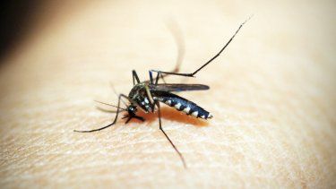 #SanJuan #Dengue #SegundaMuerte El Ministerio de Salud, a través de la División Epidemiología, confirmó el segundo fallecimiento por dengue en San Juan 

Se trata de una mujer de 72 años, con comorbilidades. Ayer ingresó en Terapia Intensiva de una clínica privada.