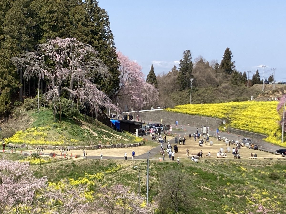 撮影日:2024.4.13
開花状況:満開
#二本松の桜