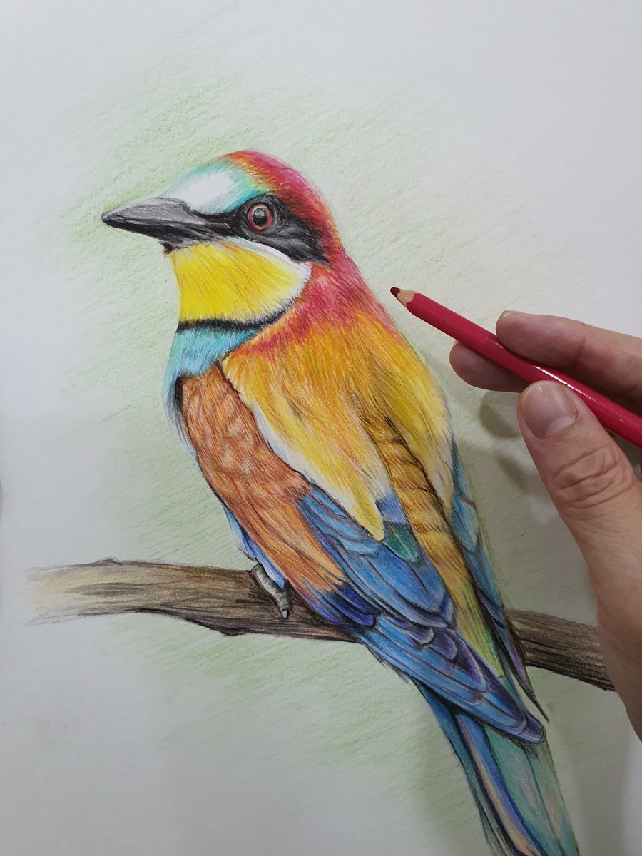 Painting bird 
#art #artwork #birds #beeeater #artist #portrait #portraitdrawing #beeeater #colorpencil