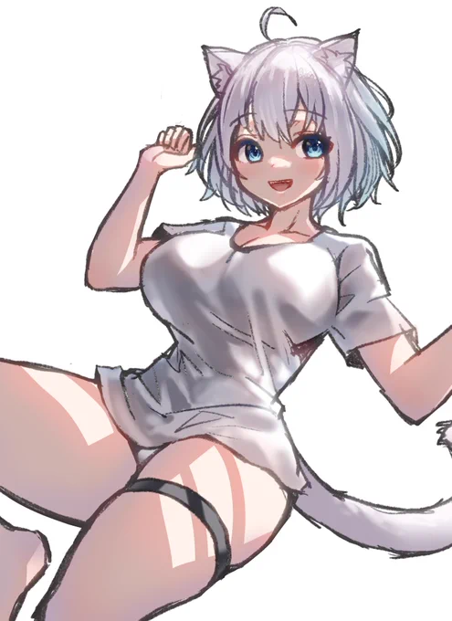 色々でっかいねこちゃん 
