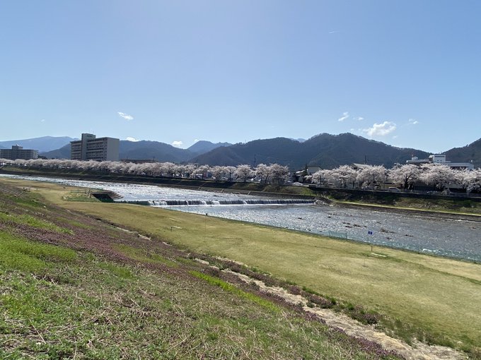 ひるまえ。今日は快晴なので桜見に色々お出かけ中なんですが…不注意で受け身取れずに転んでしまい顔面辛いってしまいましたアタタ…てか傷がどうとかより最もよく使ってた眼鏡が逝ったのが一番痛い!(T ^ T) 