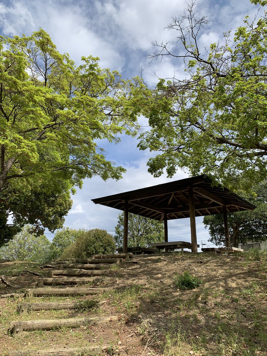 西藤中央公園　暖かくて桜🌸の花びらが舞っておりました。
もう早くもハナミズキの花が咲きそうです！
1日の中でも寒暖差がありますのでどうぞご自愛してお過ごしくださいませ。