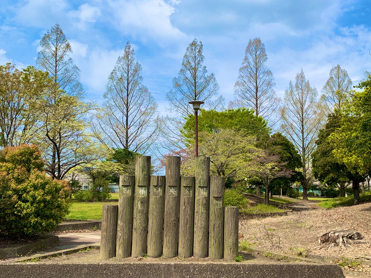 anda_real's tweet photo. 西藤中央公園　暖かくて桜🌸の花びらが舞っておりました。
もう早くもハナミズキの花が咲きそうです！
1日の中でも寒暖差がありますのでどうぞご自愛してお過ごしくださいませ。 https://t.co/PdDKShbwzY