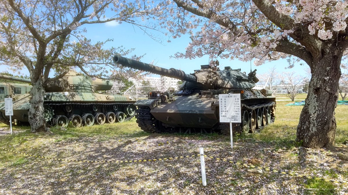 丁度のタイミングで来れたから桜と退役したばかりの74式のコラボ撮れた