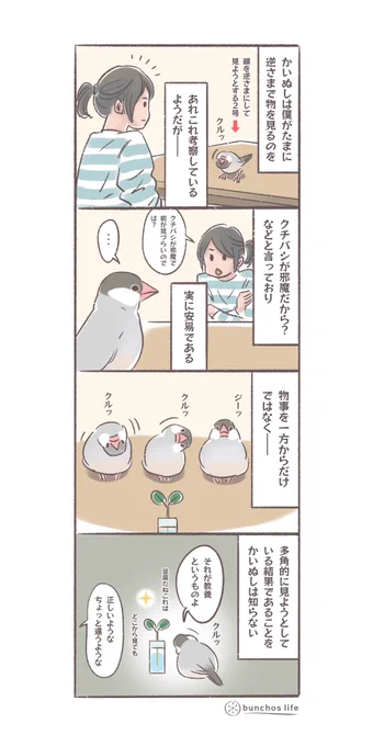 昨日の頭を逆さまにして見る仕草の考察についての2号の見解です(妄想)
#文鳥 
#4コマ漫画 