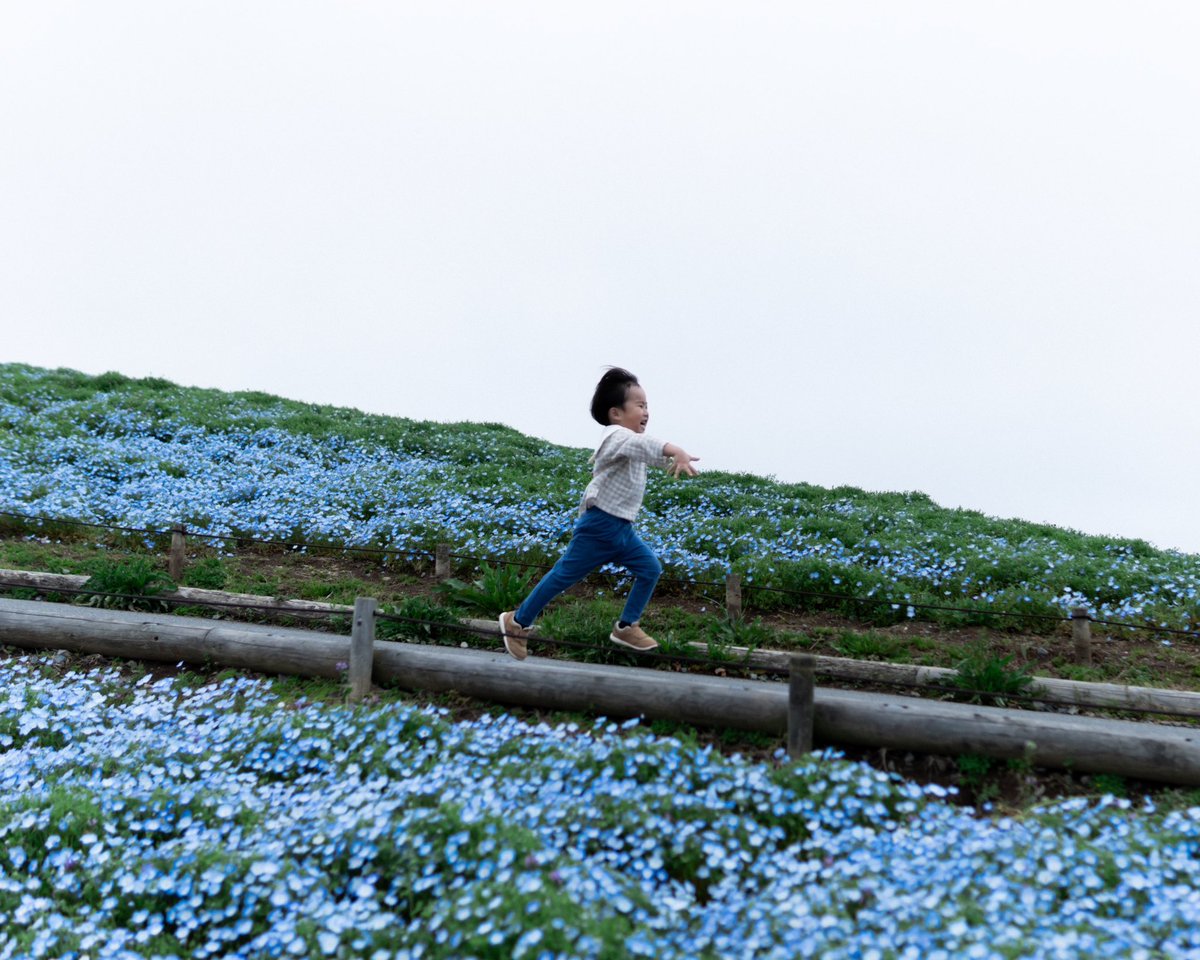 お花きれーーー!!!って叫びながら坂道を疾走する息子です。