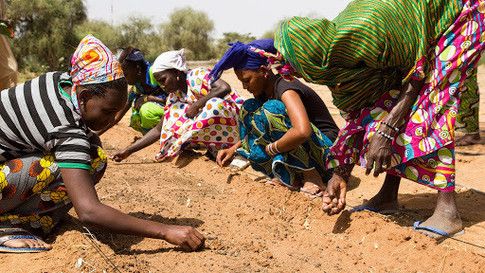 rt @wef Africa is creating its own Great Wall - and it’s green @1t_org wef.ch/3wGWM9p #Africa #GreatGreenWall