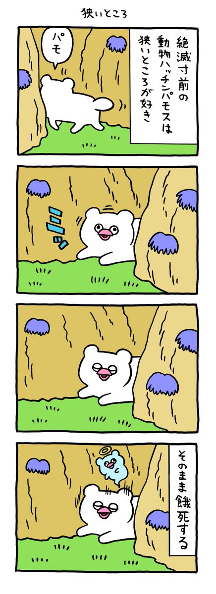 絶滅寸前の動物ハッチンパモス「狭いところ」 https://t.co/mRbk7dPdGo 