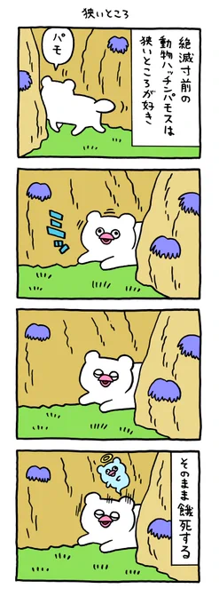 絶滅寸前の動物ハッチンパモス「狭いところ」 https://t.co/mRbk7dPdGo 