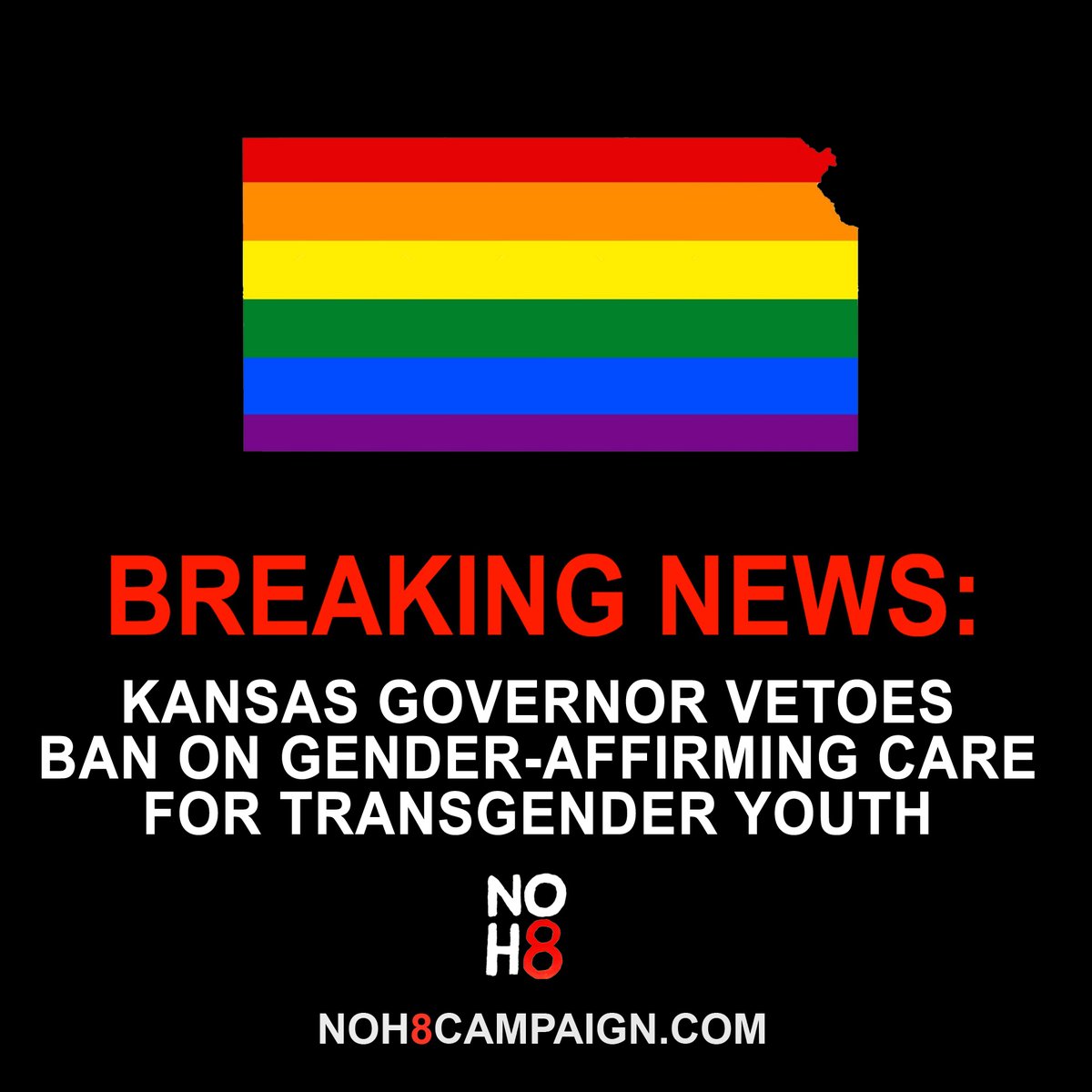 BREAKING: #Kansas governor vetoes ban on gender-affirming care for trans youth #NOH8