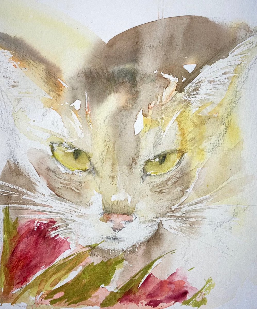 #aquarelle #Archive ❤️#Caturday #MentalHealthSupport