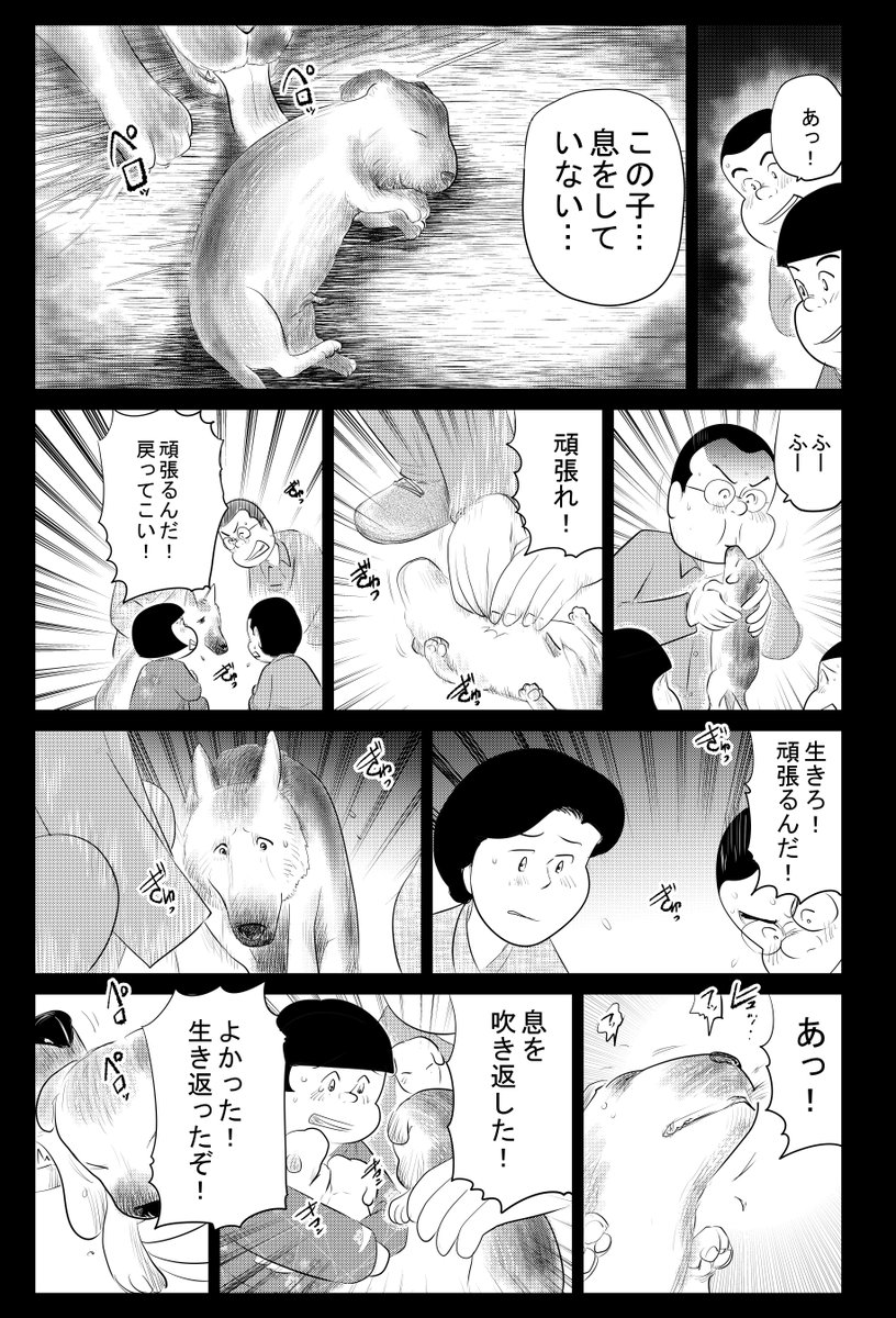 ②戦争めし『軍犬 幸の物語』つづきです
③につづきます
どうぞよろしくお願いいたします 