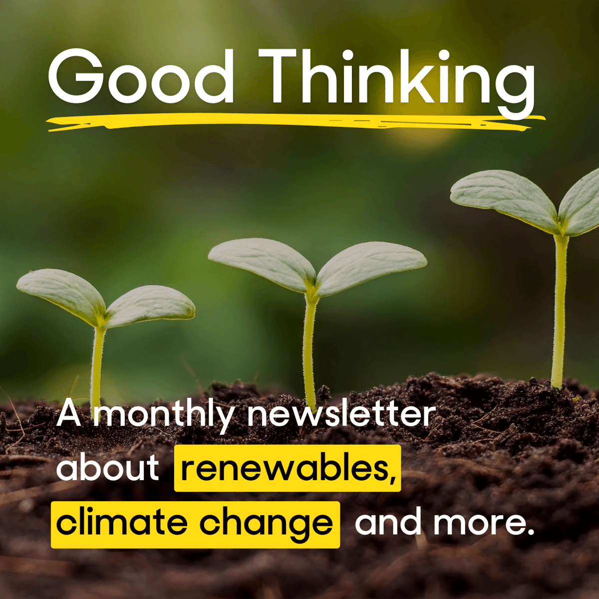 Looking for eco-news in your inbox? Our latest newsletter drops today. Sign up here: bit.ly/3yiRGBB