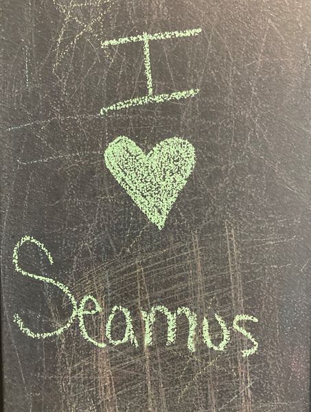 Seamus Heaney was born #OTD in 1939. To mark what would have been his 85th, we pass on some of the nice messages visitors to the exhibition have left for Seamus. Just as Seamus always remembered those who had gone before him, so shall we remember Seamus.