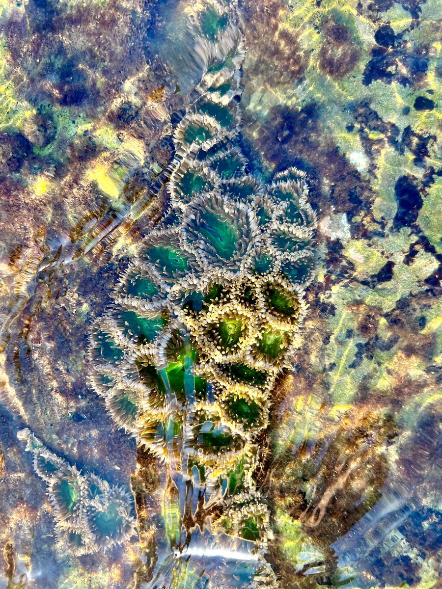 Jez Roff tweet media