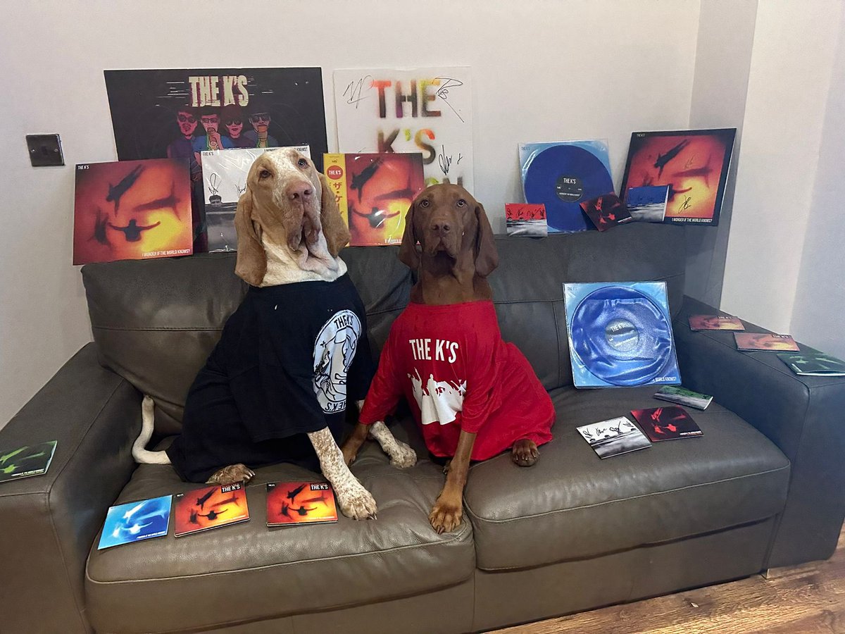 Sambb66's tweet photo. @RyanTheKs @TheKsUK @TheKsUK  absolute  fantastic album , Watching you live is off the scale . 
You all deserve this and more . Super proud and emotional 🔥
I wonder if the world know’s ?  Well they do now ! 
Thank you we absolutely adore you all . https://t.co/v9tYWF0mU3