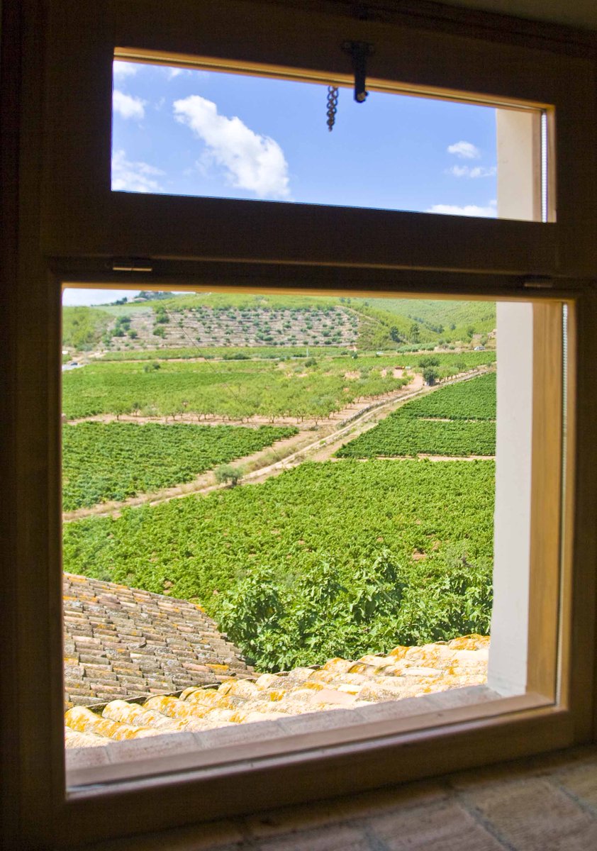 MasLlagostera's tweet photo. Així són les vinyes que es veuen des de la finestra de la casa a #MasLlagostera.
Què et transmet?
Vols despertar-te en mig del silenci envoltat d'aquest #paisatge?
Reserva i demana una de les #activitats que organitzem expresament per a tu.
https://t.co/gY71BoQvva
#penedès https://t.co/7o8RPGi6PP
