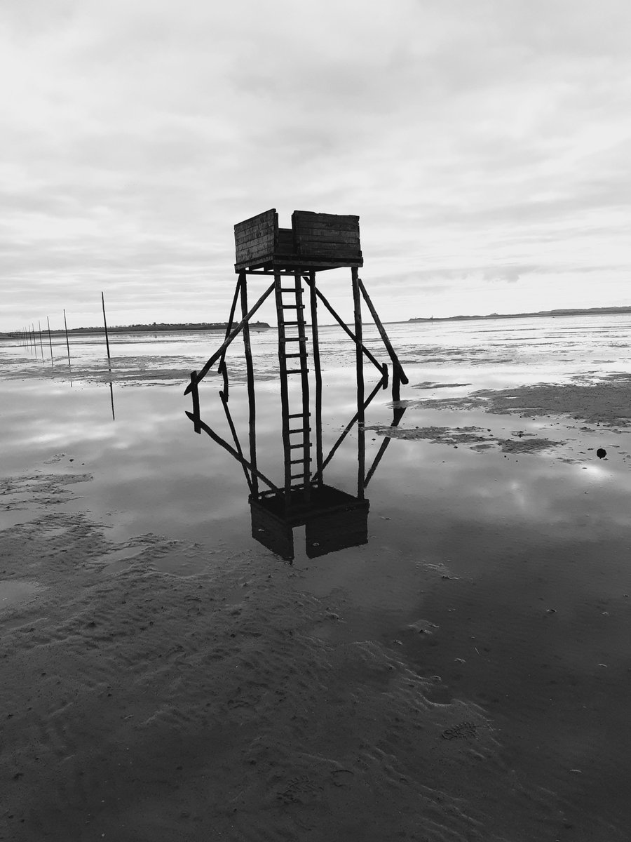 I'll be guiding nine guests across the Pilgrim's Way to the Holy Island of Lindisfarne. It will be wild and windy, but it's always an adventure. Great days out on @northcoast_nl Coffee and cake @PilgrimsCoffee always revives weary travellers.