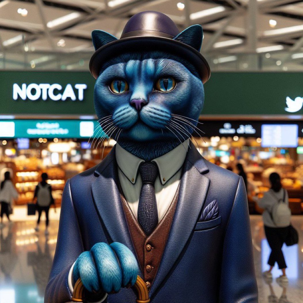1justarrived's tweet photo. Next cto here 👀 $NOTCAT
Narrative is good, community is growing nicely and the chart is looking good as well. Might be a good entry
$TON #NOTCAT
Tg: https://t.co/yU47gvQNvg https://t.co/Tlm6pg2Yft