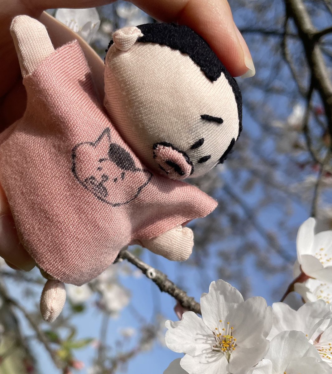 miimi0831's tweet photo. 春🌸爛漫ピョン！！ https://t.co/2sXOawpkn8