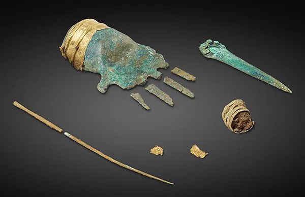 This 3,500-year-old bronze cast and gold foil prosthetic hand has puzzled researchers. While it seems too small to have functioned as an actual prosthetic, the hand might have been part of a statue, mounted on a stick like a scepter, or worn as part of a ritual. It was…