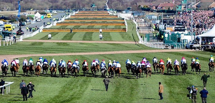 Who wins the big day ?🥇🥈🥉

#GrandNational2024 #AintreeFestival